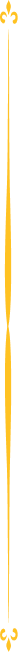 line img